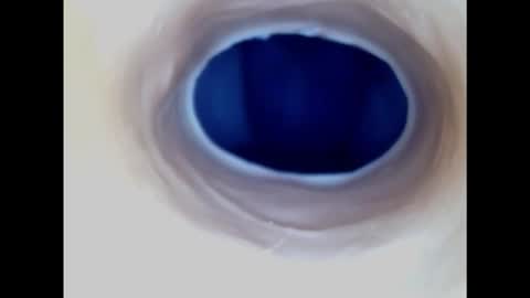 Paula 18 Aninhos online show from 17, 11, 2025