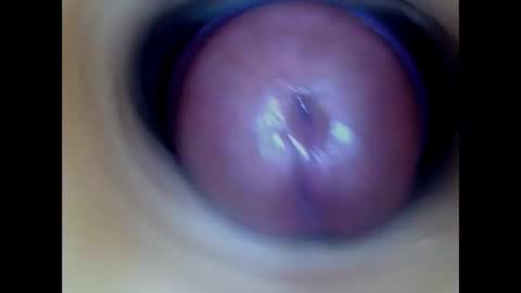 Paula 18 Aninhos online show from 1, 3, 2026