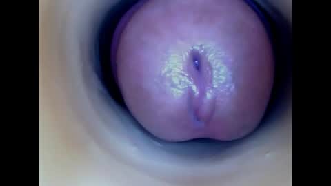 Paula 18 Aninhos online show from 28, 4, 2026