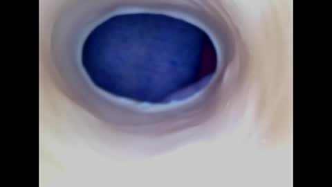 Paula 18 Aninhos online show from 29, 4, 2026