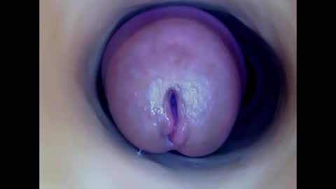 Paula 18 Aninhos online show from 30, 4, 2026