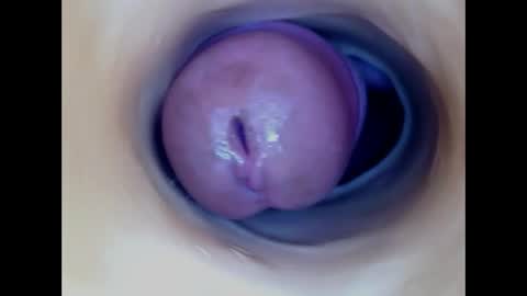 Paula 18 Aninhos online show from 7, 6, 2026
