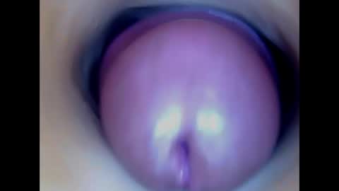 Paula 18 Aninhos online show from 9, 6, 2026