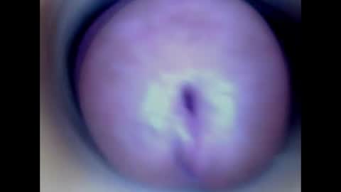 Paula 18 Aninhos online show from 16, 6, 2026