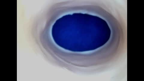 Paula 18 Aninhos online show from 19, 6, 2026