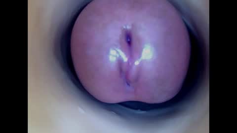 Paula 18 Aninhos online show from 26, 6, 2026