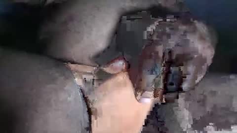 Snapshot of paulcockring chatting on 23, 11, 2025 paulcockring online show from 23, 11, 2025