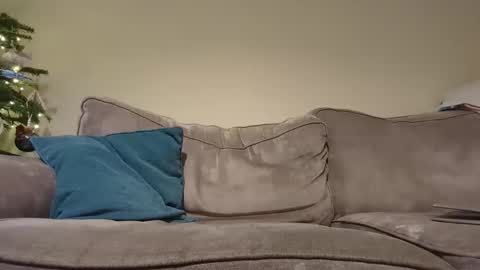 Snapshot of pauleyheron chatting on 16, 12, 2024 pugwall22 online show from 16, 12, 2024