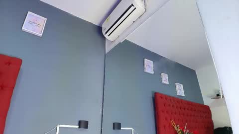 PAU  online show from 5, 10, 2025