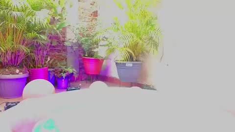 Snapshot of paulina_sodi chatting on 19, 6, 2026 Paulina online show from 19, 6, 2026
