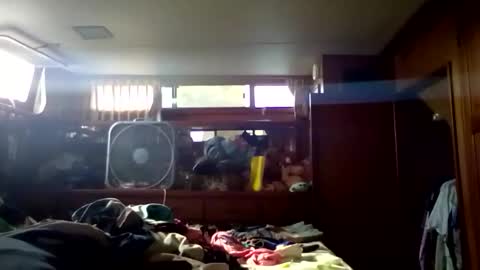 Pavone splash online show from 9, 1, 2026