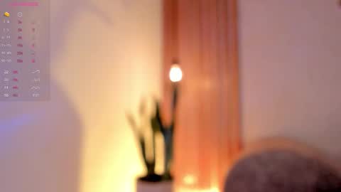 Dani online show from 15, 11, 2025