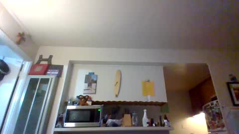 Snapshot of pawgkiller chatting on 11, 10, 2025 pawgkiller online show from 11, 10, 2025