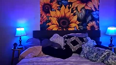 Pawgtattmilf wBwc  Toys online show from 3, 8, 2026