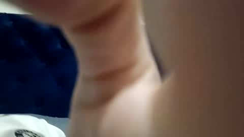 Paw online show from 26, 12, 2024