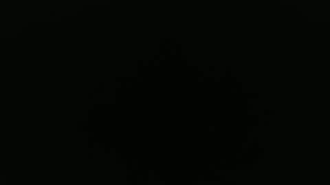 Alex online show from 24, 9, 2025