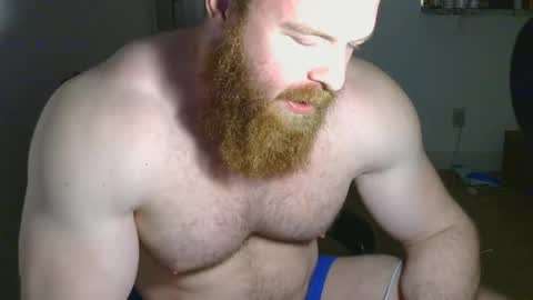 Pec inspector online show from 14, 2, 2025