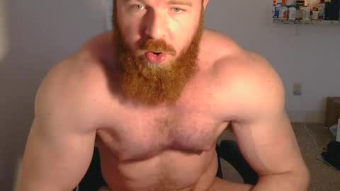 Pec inspector online show from 12, 3, 2025