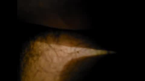 Snapshot of pedritu7 chatting on 24, 1, 2025 Alex online show from 24, 1, 2025