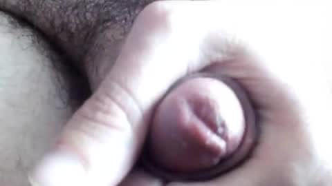 peiboluna online show from 23, 2, 2025