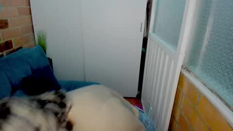 Snapshot of penelope47 chatting on 11, 3, 2026 Penelope online show from 11, 3, 2026