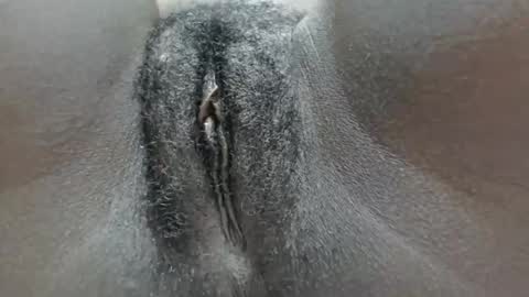 pennyna1 online show from 5, 10, 2025