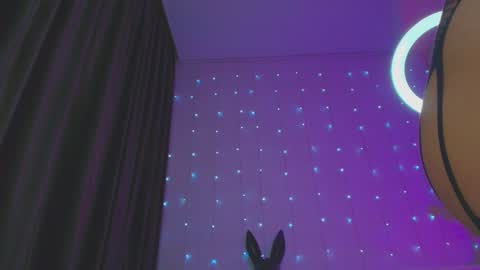 Snapshot of pepper_cat chatting on 21, 1, 2025 Dia online show from 21, 1, 2025