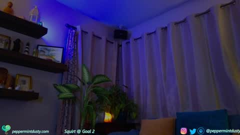 Snapshot of peppermintdusty chatting on 19, 12, 2024 Peppermint and Dusty online show from 19, 12, 2024