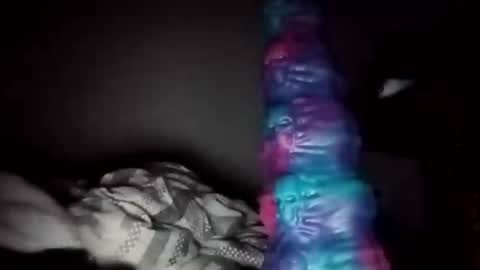 perdz768563 online show from 24, 3, 2026