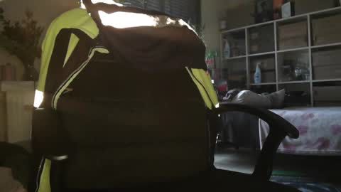 Snapshot of peregrintpelfox chatting on 16, 12, 2025 peregrintpelfox online show from 16, 12, 2025