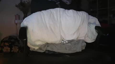 Snapshot of peregrintpelfox chatting on 6, 1, 2026 peregrintpelfox online show from 6, 1, 2026