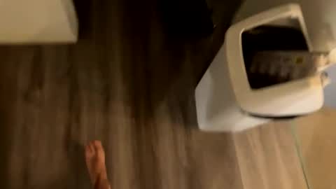 perthguytop online show from 4, 11, 2025