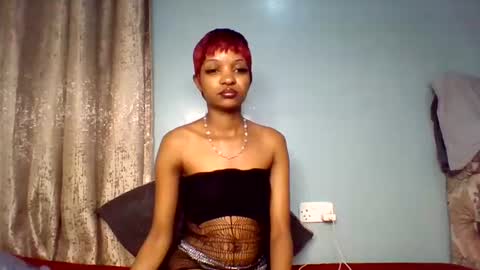 Lolly online show from 7, 8, 2026