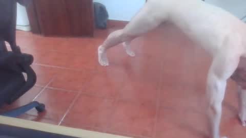 Snapshot of peter_coat chatting on 1, 7, 2026 peter_coat online show from 1, 7, 2026