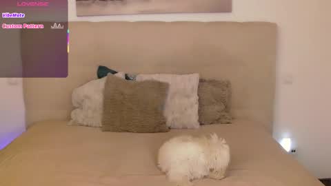 Peters Emily online show from 14, 9, 2025