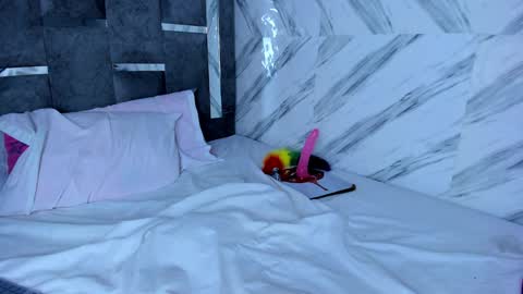 petite_amor online show from 9, 12, 2024