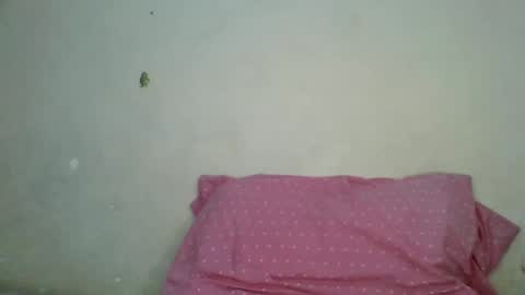 petite_shan online show from 21, 6, 2026