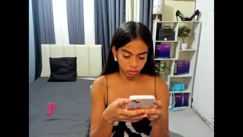 petitehorsycock online show from 3, 6, 2026