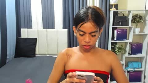 petitehorsycock online show from 14, 6, 2026