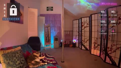 Snapshot of petitejewel chatting on 27, 12, 2024 Jules online show from 27, 12, 2024