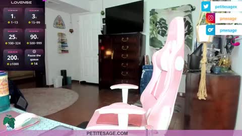 Snapshot of petitesage chatting on 25, 12, 2024 petitesage online show from 25, 12, 2024