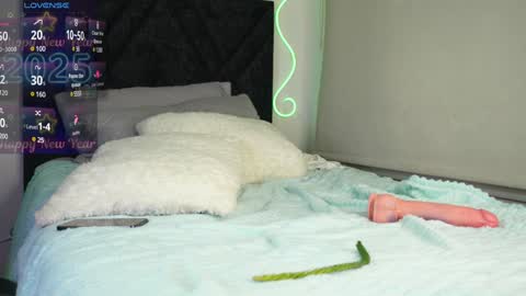 Pettercat online show from 9, 1, 2025