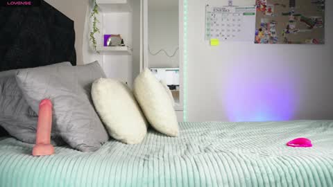 Pettercat online show from 23, 1, 2025