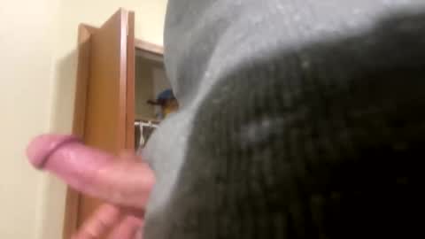 Snapshot of pewpewdood chatting on 6, 2, 2026 pewpewdood online show from 6, 2, 2026