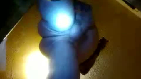 pezz001 online show from 3, 7, 2026
