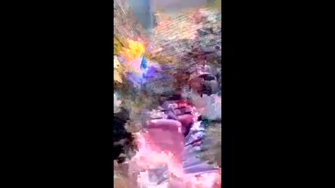 Snapshot of pezzabigcock chatting on 17, 2, 2026 pezzabigcock online show from 17, 2, 2026