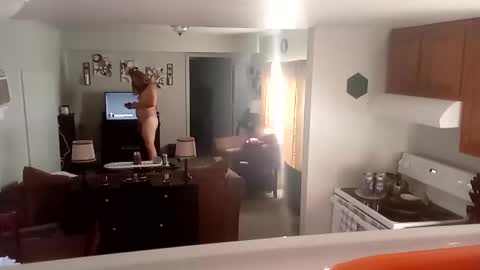 Snapshot of phinfan35276 chatting on 23, 2, 2025 Phinfan online show from 23, 2, 2025