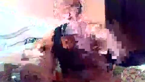 Ale online show from 22, 12, 2025