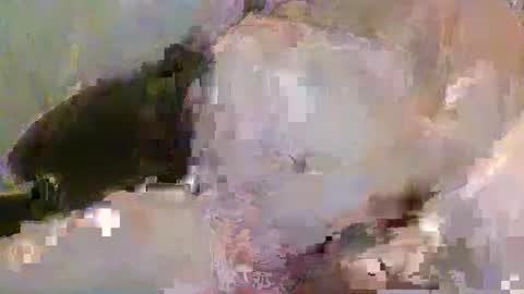 Snapshot of pickup844 chatting on 4, 1, 2025 Pickup844 online show from 4, 1, 2025