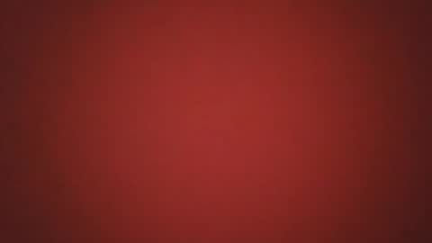 Pideolo online show from 2, 11, 2025